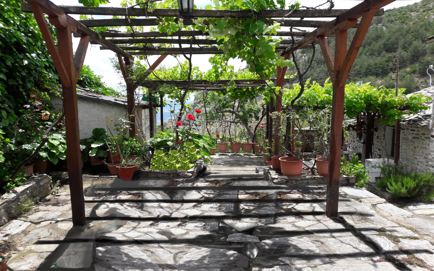 Traditional Stone House (1954), 40 sq.m., Fully Renovated, Makrinitsa, Pelion - Expansion Potential